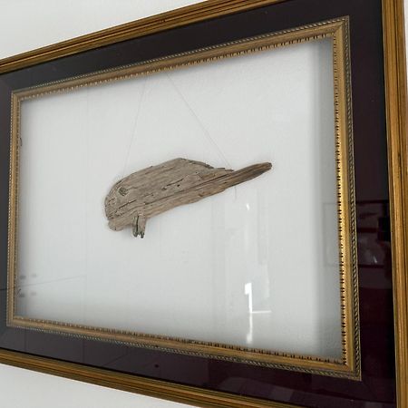 Il Pesce Di Legno Apartment ลีวอร์โน ภายนอก รูปภาพ